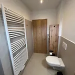 Sonnenschein Appartement- Und Mit Stadel Und Terrasse Apartment