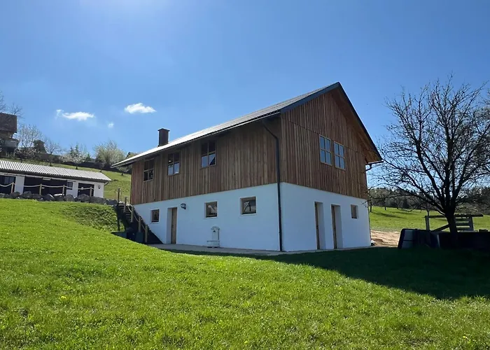 Sonnenschein Appartement- Und Mit Stadel Und Terrasse דירה